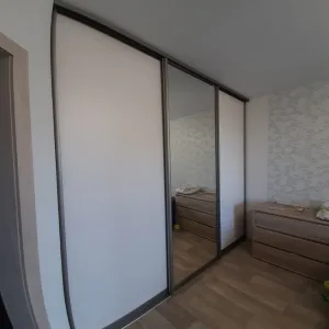 Дверь ЛДСП + Зеркало серебро (2362 мм на 2681 мм)