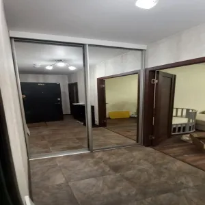 Наполнение шкафа в прихожей из ЛДСП и двери