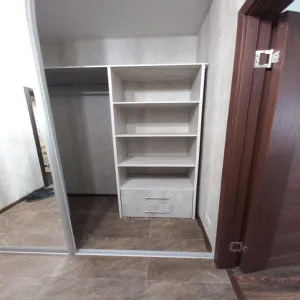 Наполнение шкафа в прихожей из ЛДСП и двери