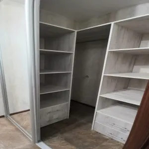 Наполнение шкафа в прихожей из ЛДСП и двери