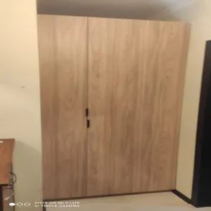 Наполнение шкафа в прихожей из ЛДСП